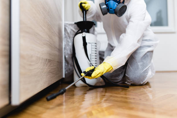 Best Best Pest Control Companies  in Summit Park, UT