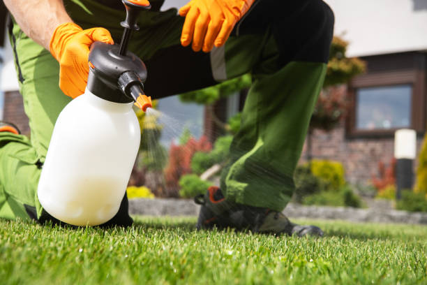 Best Cockroach Control Services  in Summit Park, UT