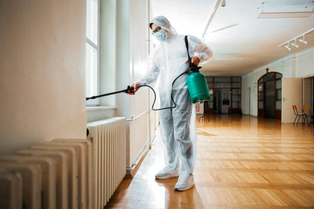 Flea Control Services in Summit Park, UT