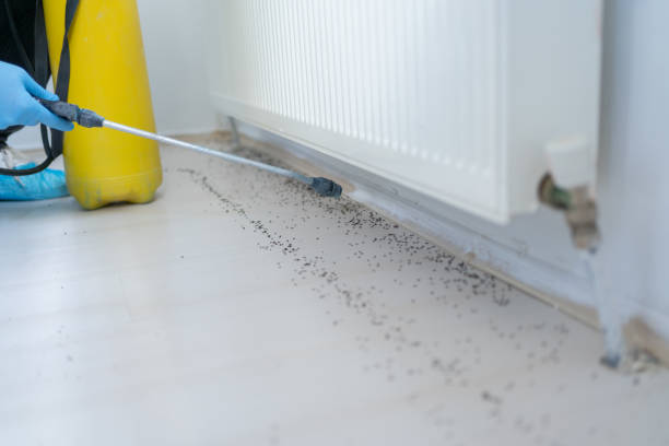 Best Commercial Pest Control Services  in Summit Park, UT