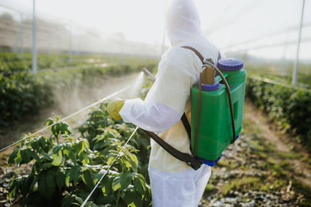 Best Bed Bug Extermination  in Summit Park, UT